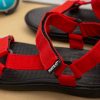 color straps sandal hsd